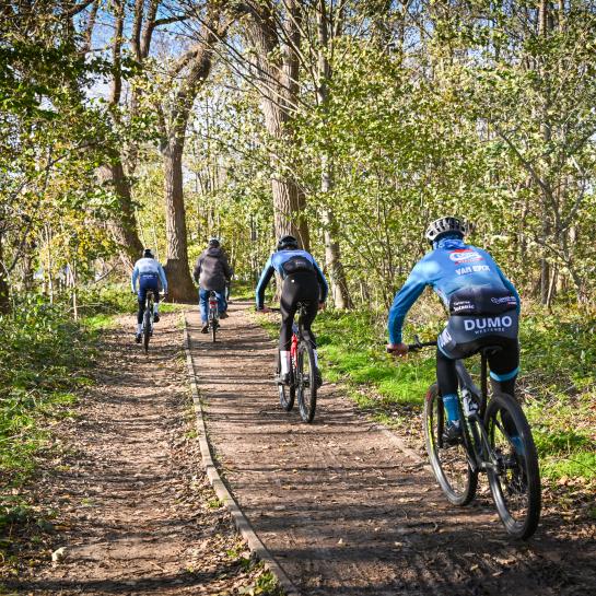 Mountainbikers in het Hannecartbos