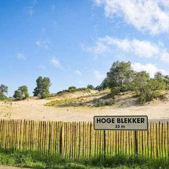 Hoge Blekker