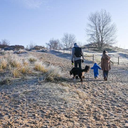 Gezin met hond wandelt in een winters duinlandschap